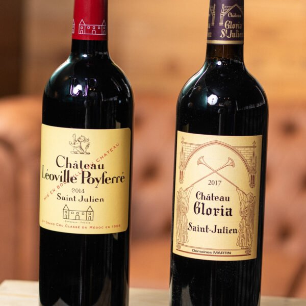 loja-vinho-premium-raro-chateau-saint-julien-winehomebr