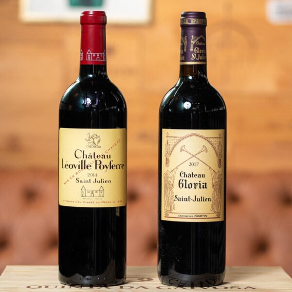 loja-vinho-premium-raro-chateau-saint-julien-winehomebr